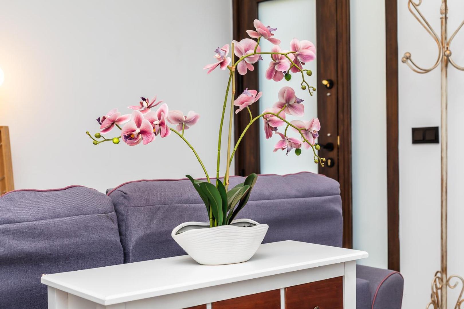 Apartamento Noguera Loft "A" 阿利坎特 外观 照片